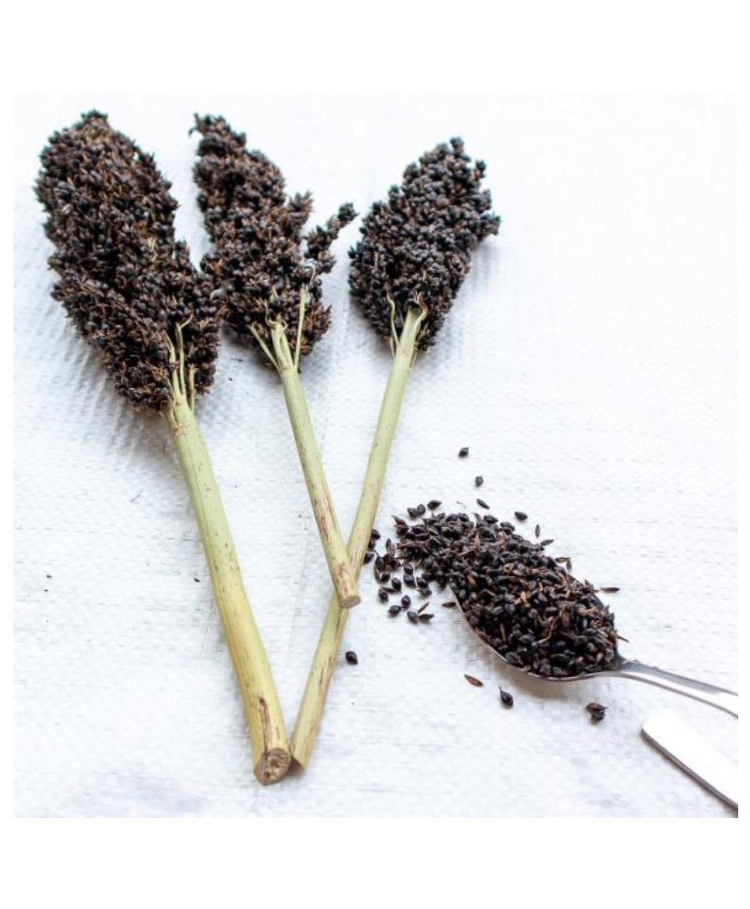 Sorghum zwart
