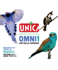 Unica Omni1 Softbill porridge 1kg (opfokvoer voor softbills)