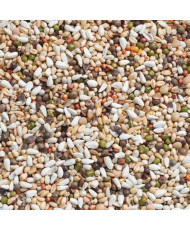 Deli Nature 33 Kiemzaad Grote Parkiet en Papegaai 15 kg
