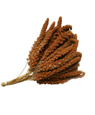 Franse trosgierst rood (Anjou) 1 kg