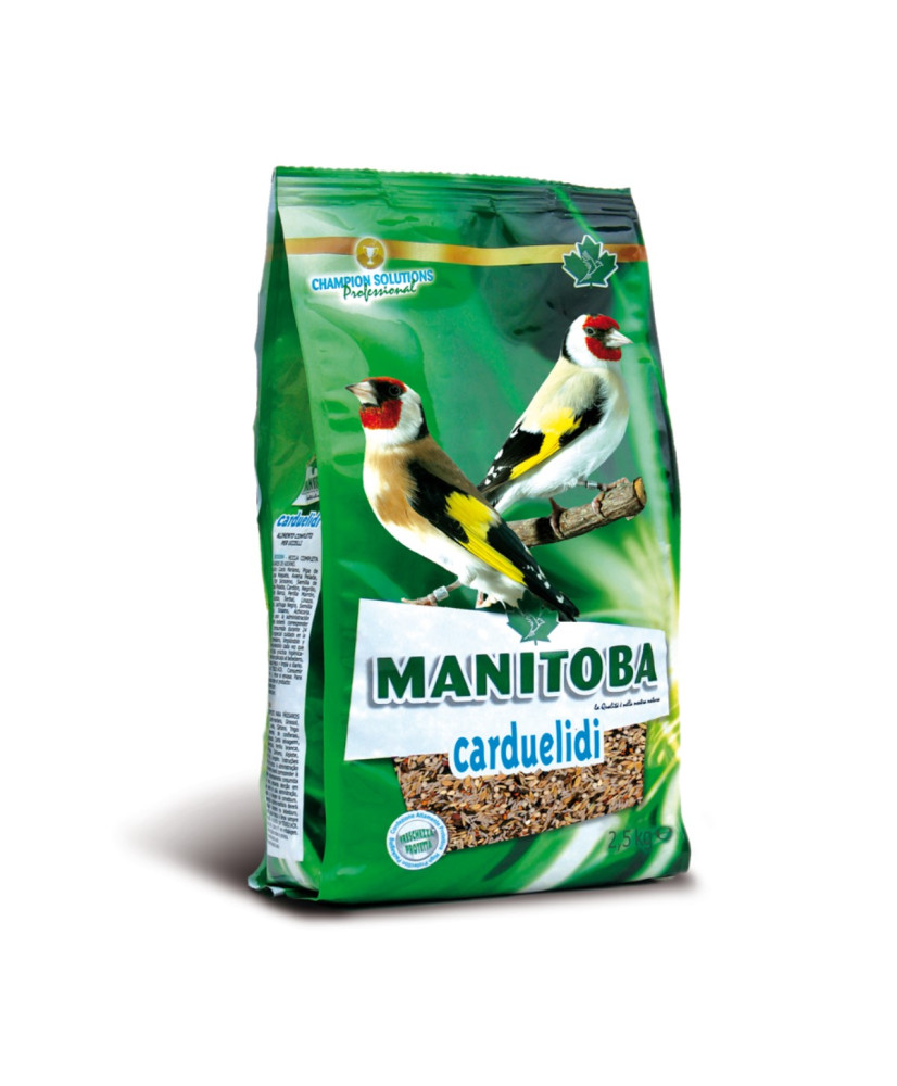 Manitoba Carduelidi - distelvinken light Manitoba Carduelidi - distelvinken light