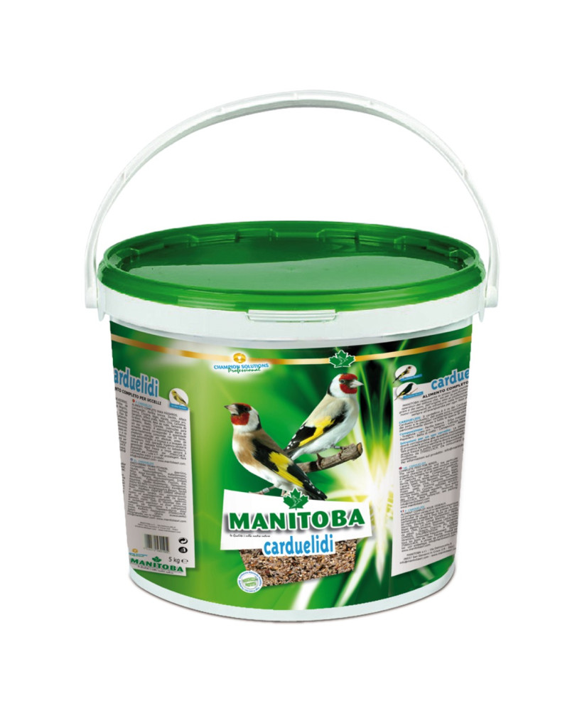 Manitoba Carduelidi - distelvinken light Manitoba Carduelidi - distelvinken light