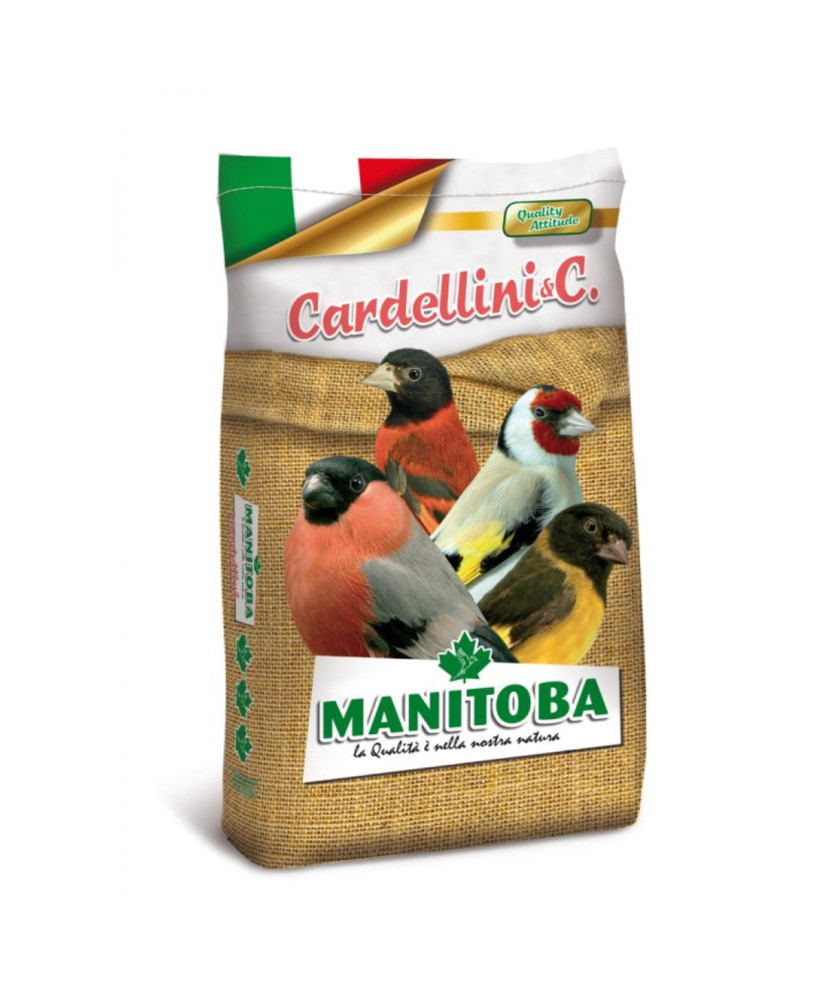 Manitoba Chardonnerets et Tarins extra
