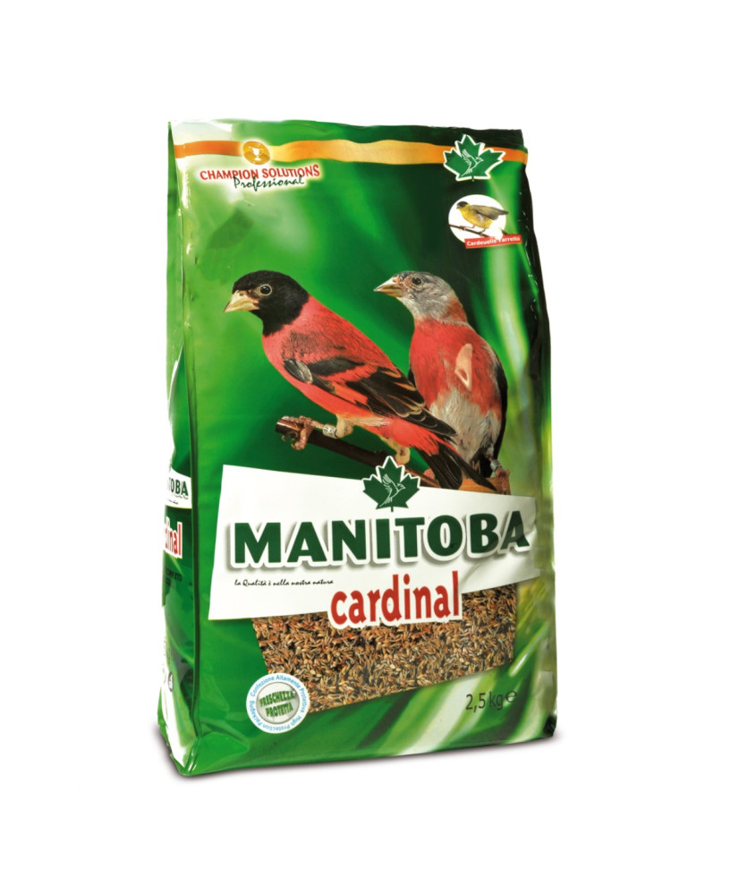 Manitoba Tarins de Venezuela