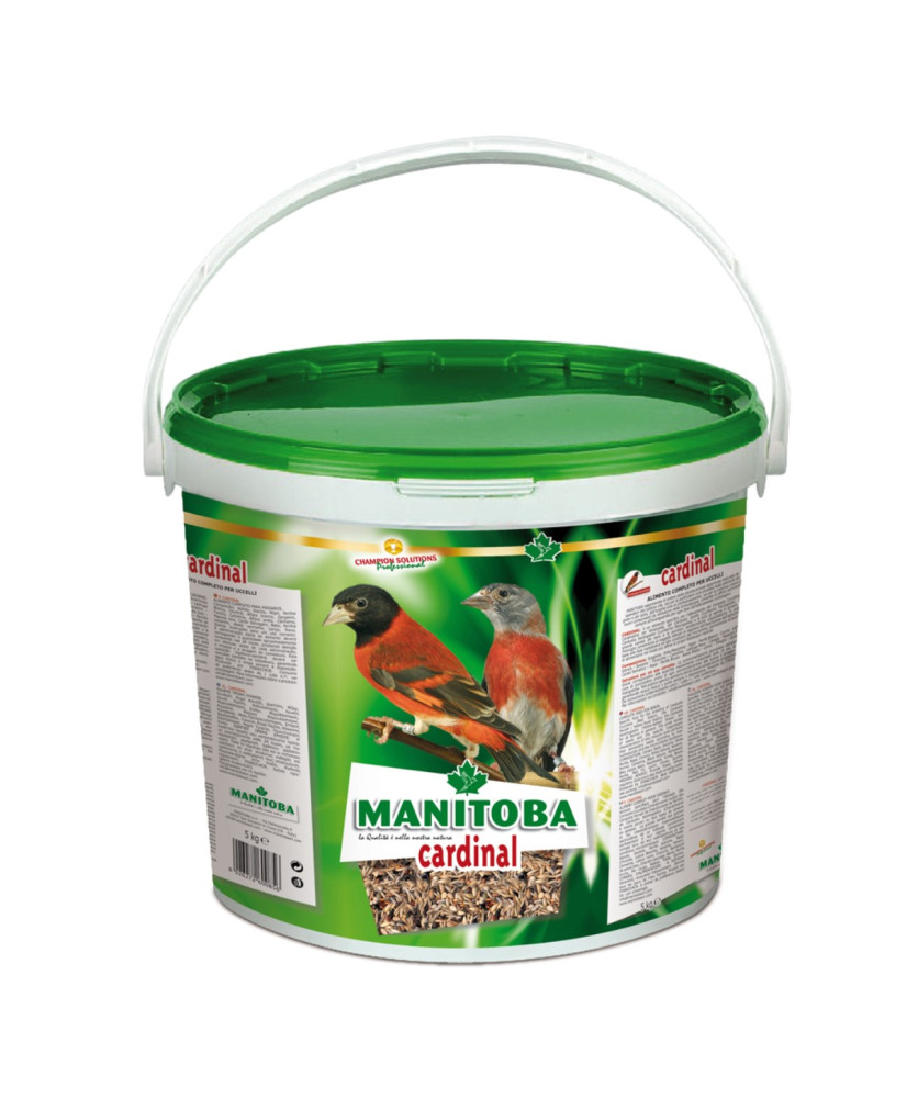 Manitoba Cardinal - Tarins de Venezuela 5 kg