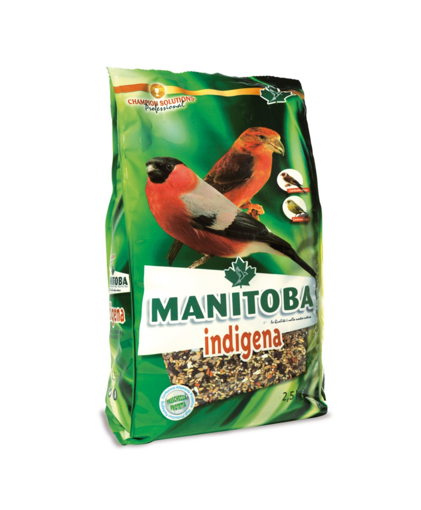 Manitoba Kruisbekken & Goudvinken