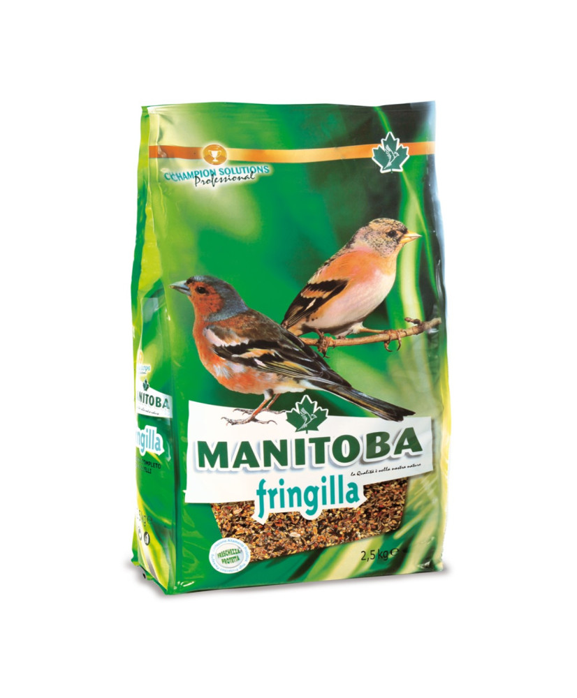 Manitoba Fringilla - Vinkenmengeling Manitoba Fringilla - Vinkenmengeling