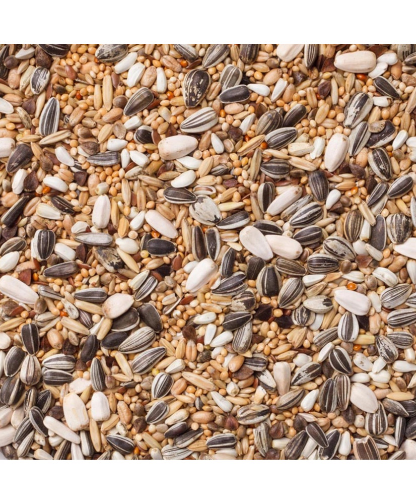 DELI NATURE Parkieten Premium groot 4 kg kopen