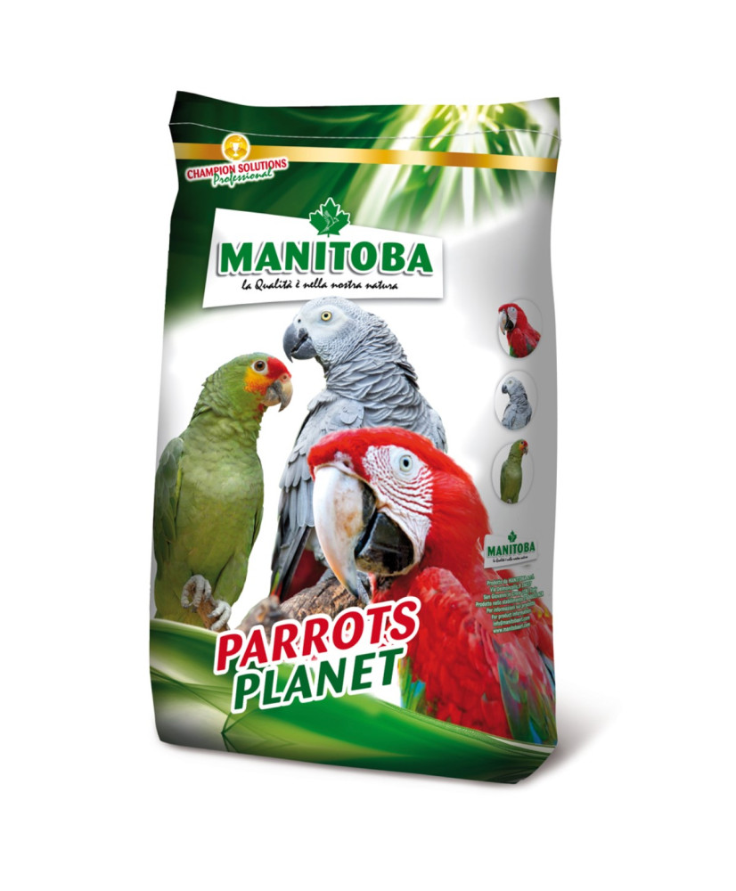 Manitoba African Parrots - Perroquets africains 15 kg