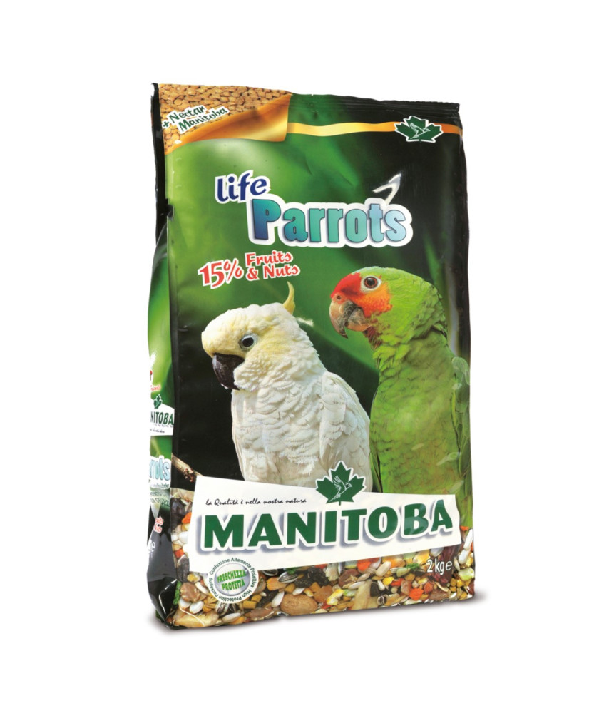 Manitoba Papegaaien light - Life Parrots