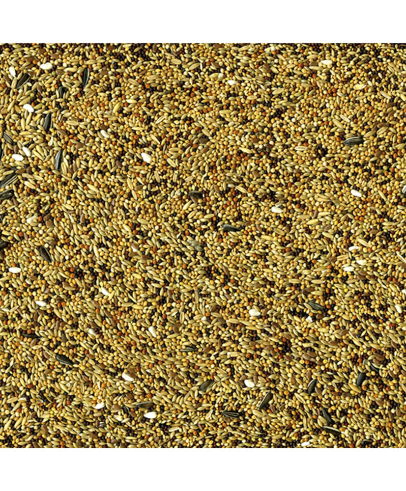 Vadigran Volièrezaad original 4 kg