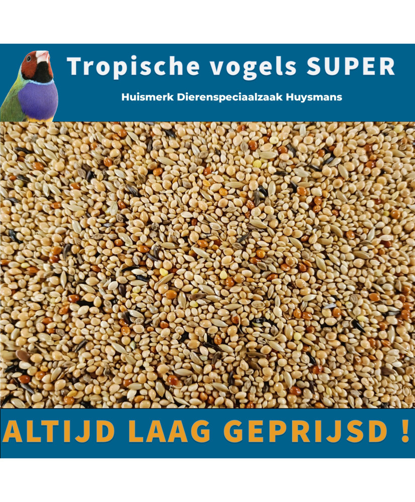 Tropische vogels 20 kg