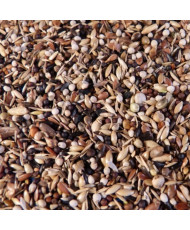 J. Koenings tarin de...