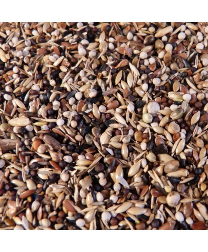 J. Koenings tarin de l'Amérique 3 kg