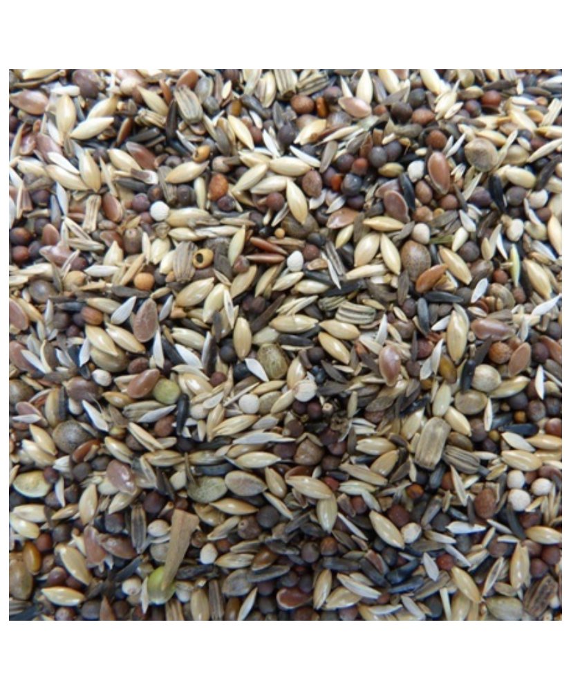 Koenings putters & sijzen nr. 1 - 3 kg Koenings putters & sijzen nr. 1 - 3 kg