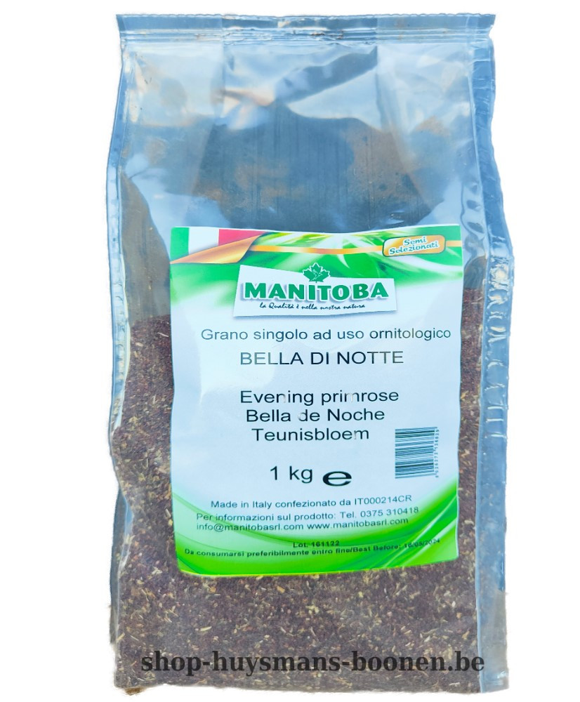 Onagre 1 kg - Manitoba