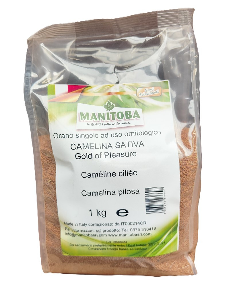 Gold of pleasure (cameline) 1kg -  Manitoba