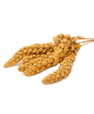Millet jaune en grappes (Anjou) 20 kg
