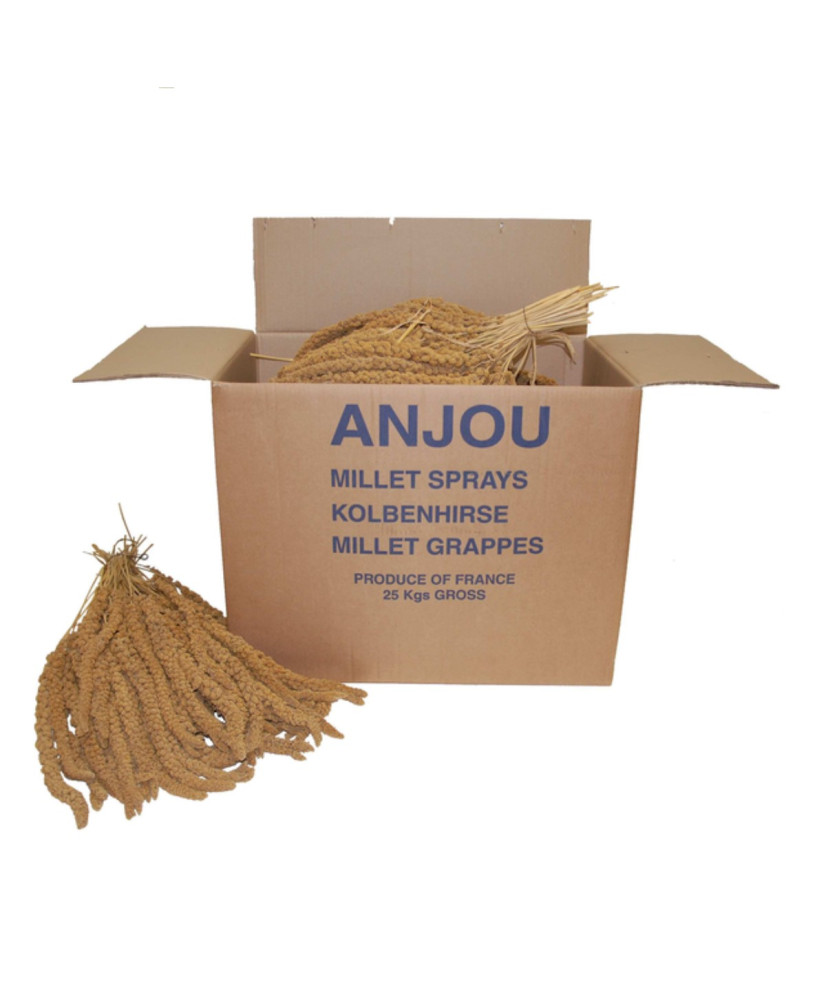 Millet jaune en grappes (Anjou) 25 kg