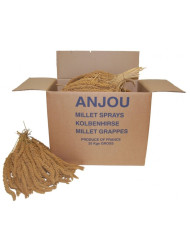Millet jaune en grappes (Anjou) 20 kg