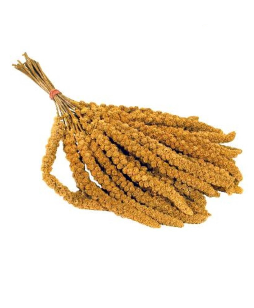 Millet jaune en grappes (Chinois) 1 kg