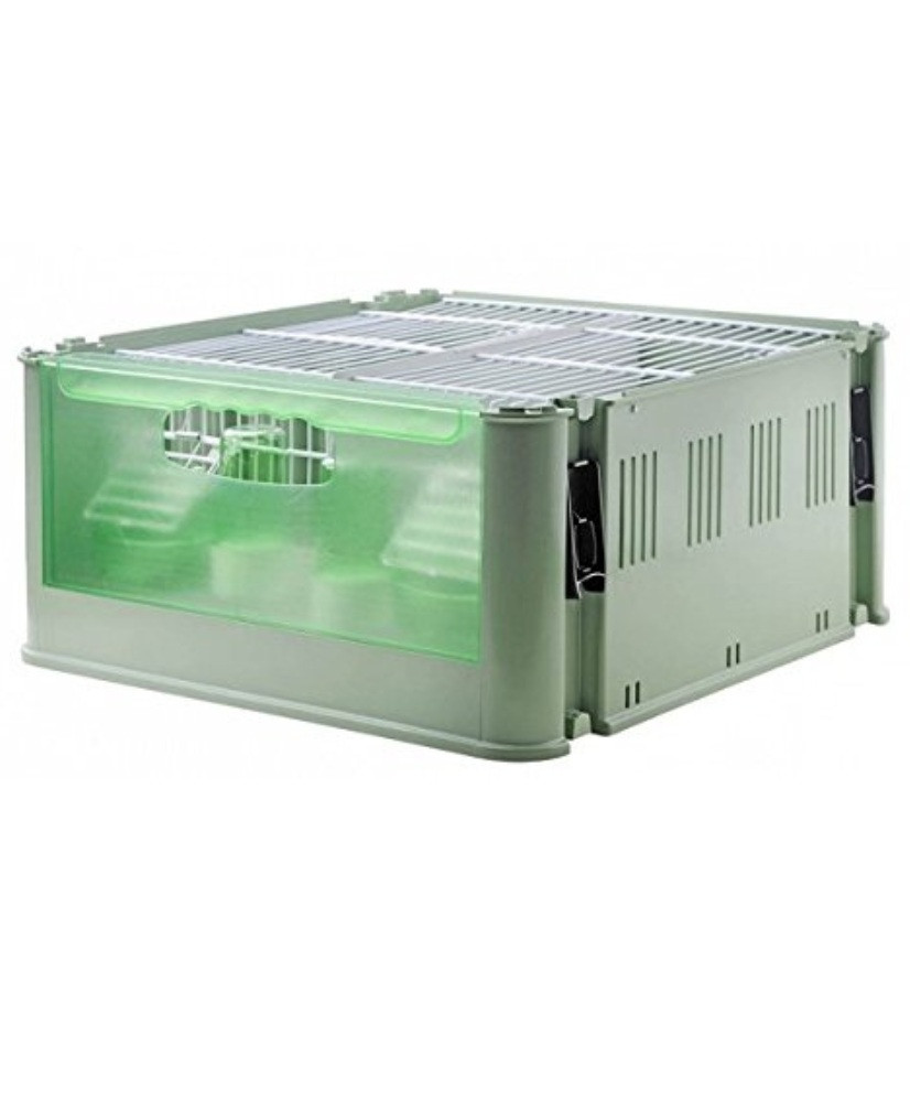 Italiaanse vervoerskooi Tino Italiaanse vervoerskooi Tino