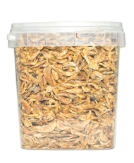 Gammarus grossier 2,5 L