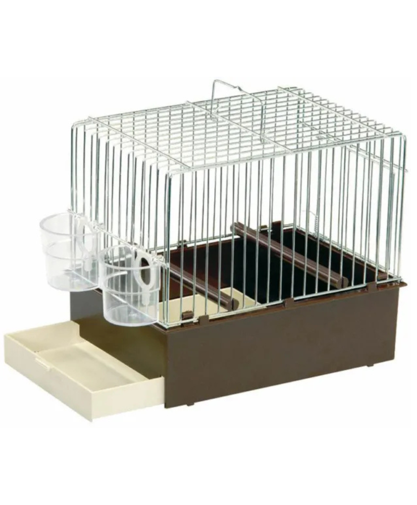 Cage chantante brune Cage chantante brune