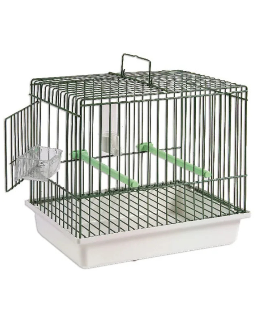 Cage chantante verte