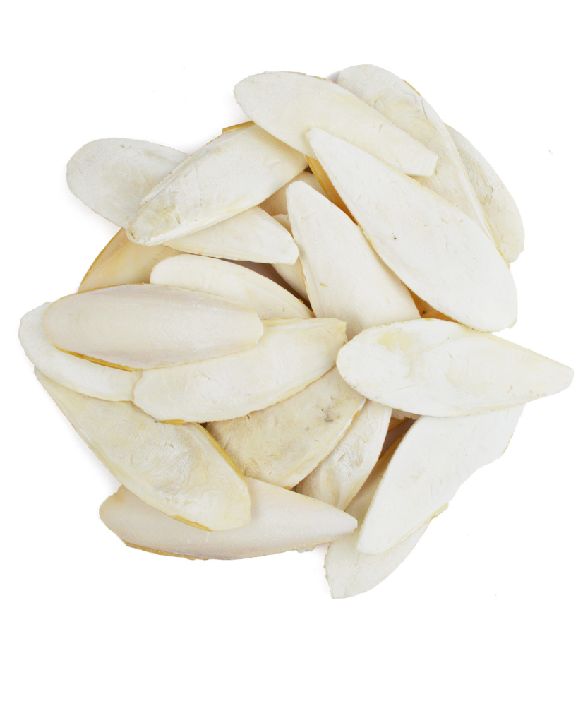 Os de seiche (sépia) 4-6" 250g Os de seiche (sépia) 4-6" 250g