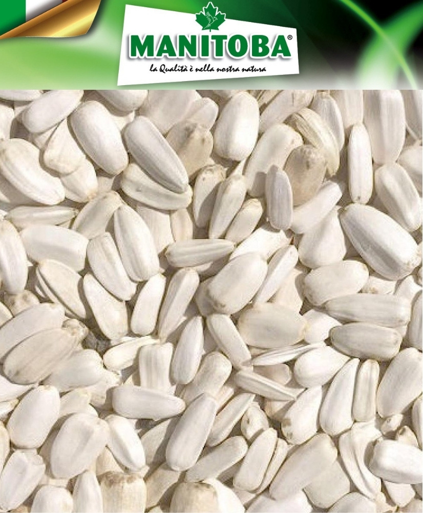 Manitoba Zonnebloempitten wit 500g