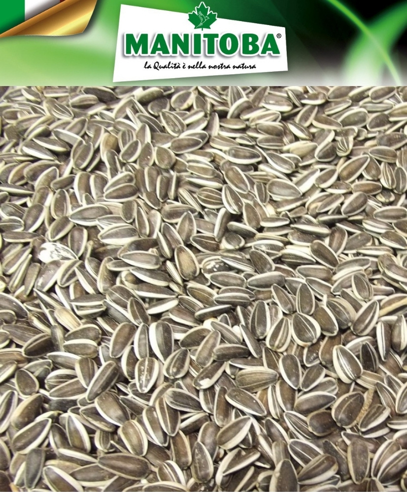 Tournesol Strié 500g - Manitoba