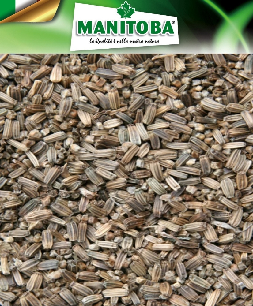 Wilde distelzaad (kaardenbol)  500g -  Manitoba