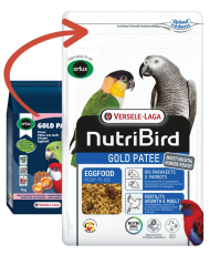 Gold Patee Grandes...