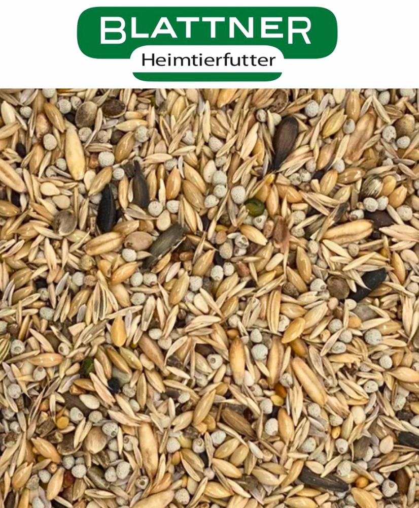 Blattner Chardonneret Parva mediterraneo - sans niger