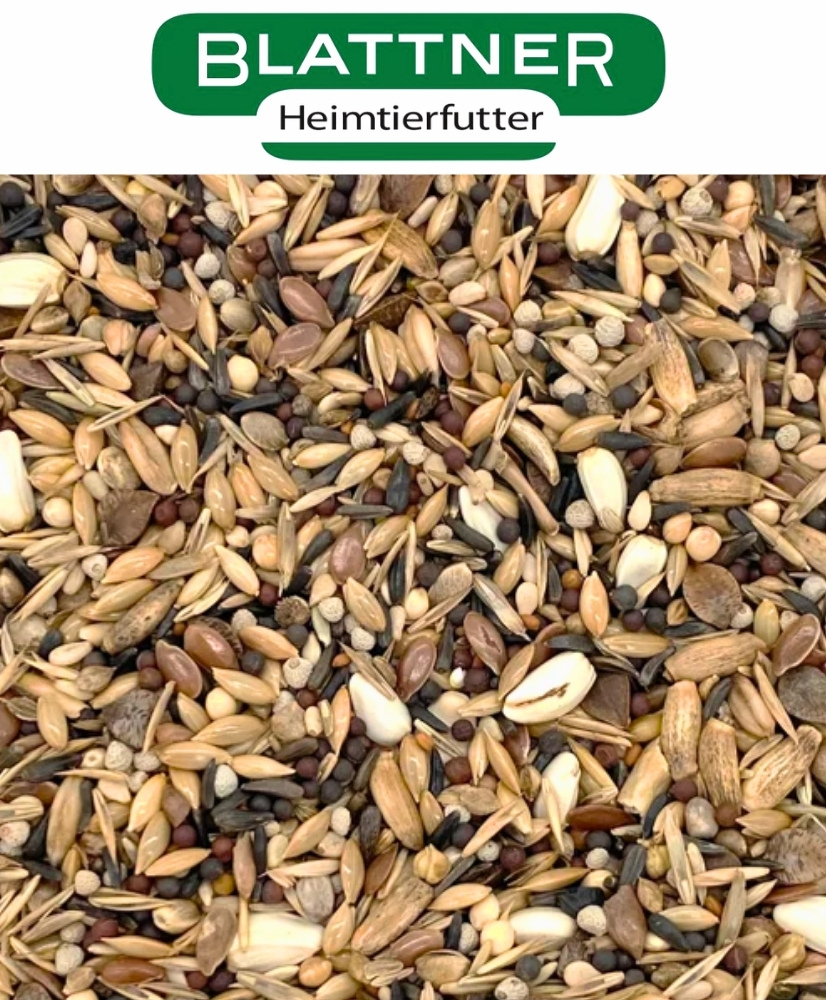 Blattner Goudvinken I