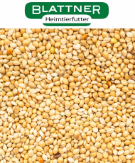 Mohair gierst geel -...