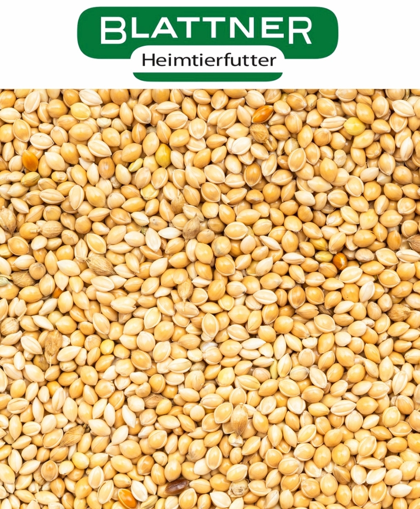 Millet Mohair jaune - Blattner - 1 kg