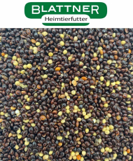 Gierst zwart (black millet)