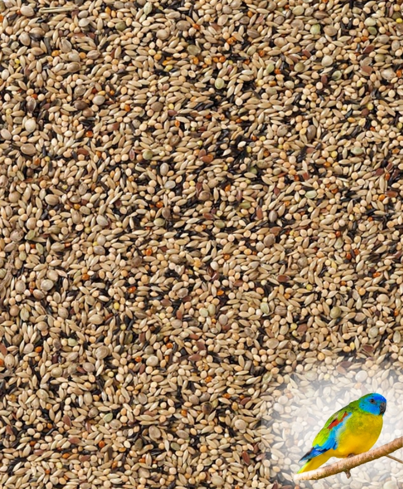 Deli Nature 70 - Neophema premium