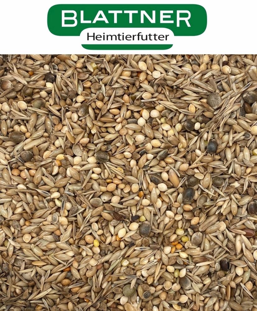 Blattner Passerina - Passerins américaines - 15 kg