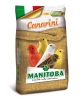 Manitoba Canari T1 Bisc