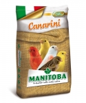 Manitoba Kanarie T1 Bisc