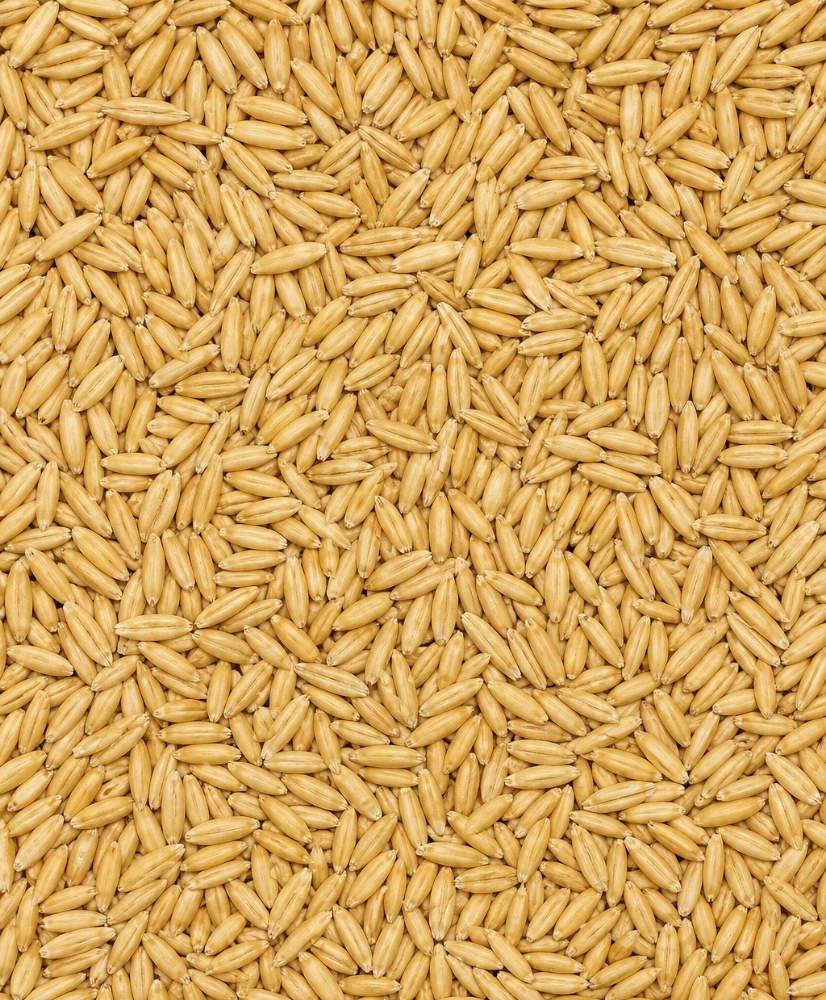 Avoine décortiquée - 1kg