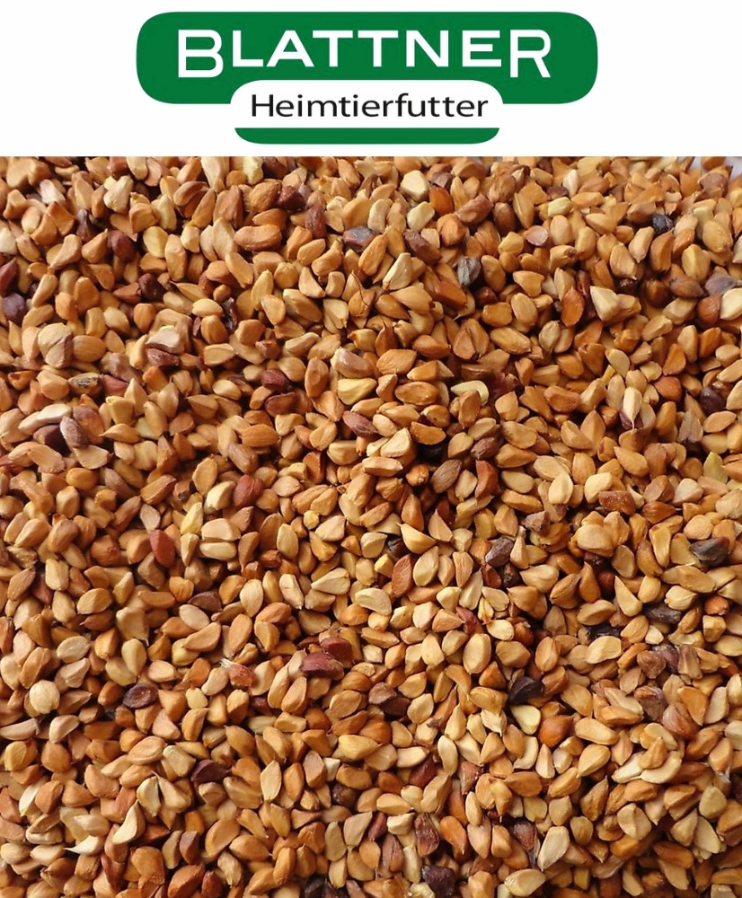 Rozenbottelzaad - Blattner
