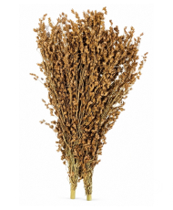 Millet à balai 500g