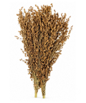 Bezemgierst 500g