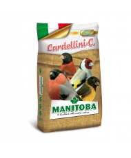 Manitoba Cardellino premium...