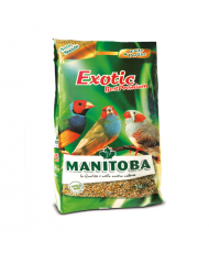 Manitoba exotic best...