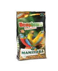 Manitoba Neophema Parakeets...